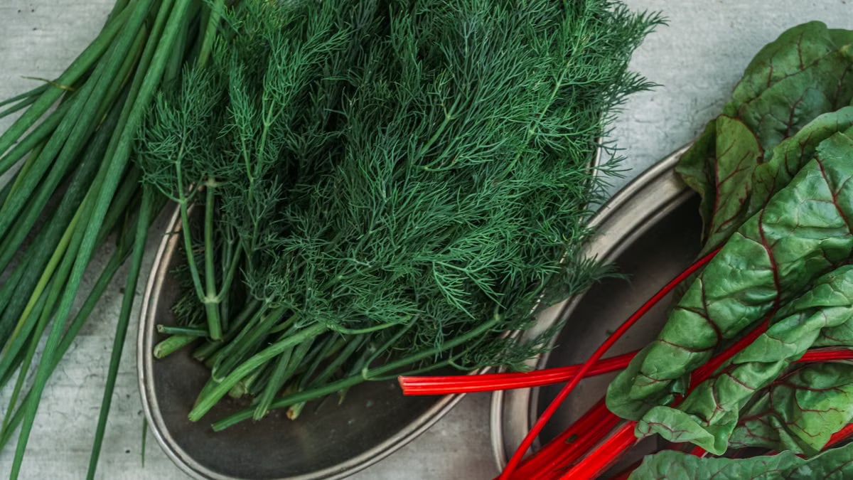 Top view of fresh dill, green onions, and Swiss chard displayed on a table.